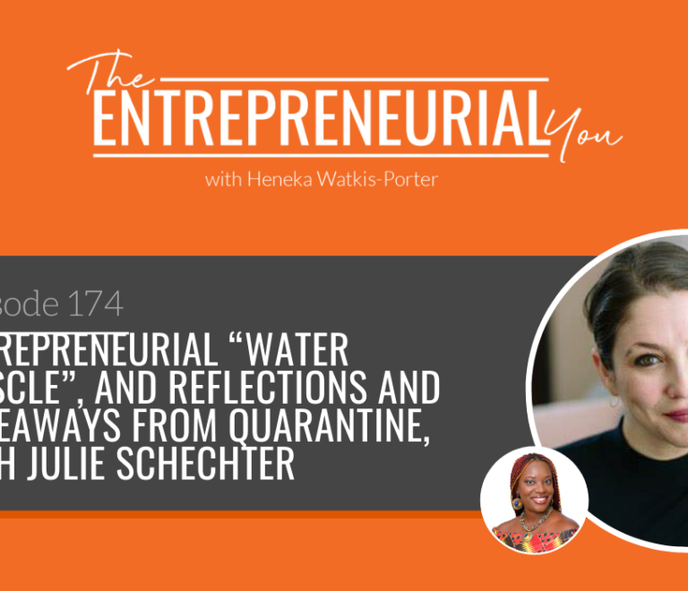 Julie Schechter on The Entrepreneurial You Podcast